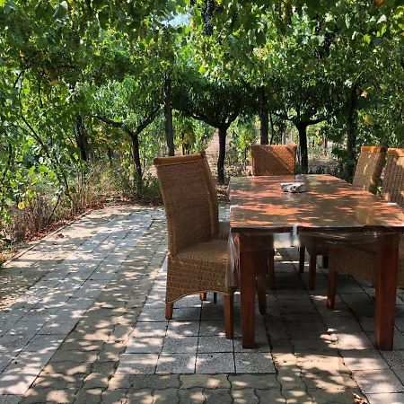 Szendergo - Apartman Hajos Pincefalu Extérieur photo