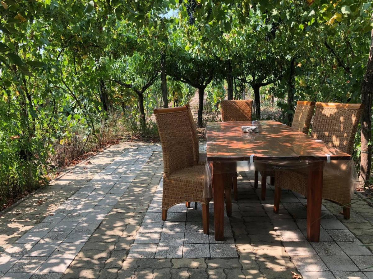 Szendergo - Apartman Hajos Pincefalu Extérieur photo